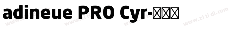 adineue PRO Cyr字体转换